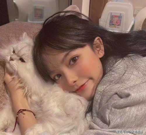 女生和猫的头像女生