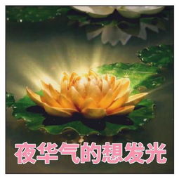 每周一波一部用热搜刷完的剧到底有多少表情包