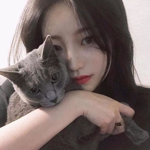 一只猫有这样的睡姿,说明过得幸福,骗不了人的