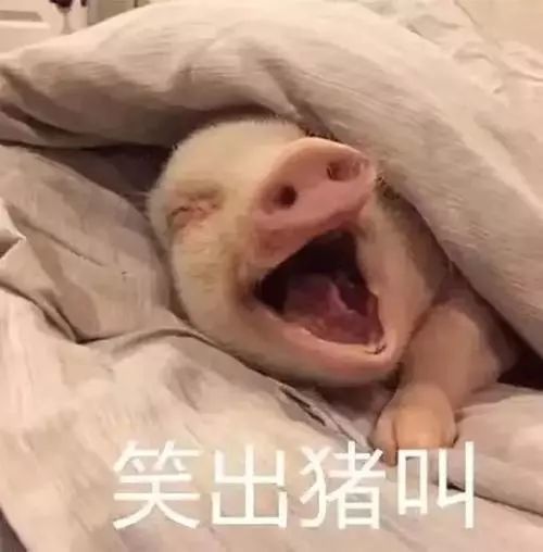 买可乐的意思是makelove,这些英文神翻译笑掉大牙