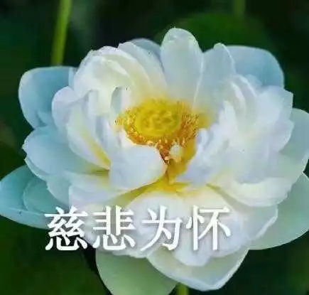 高中生恋爱中的女生,有些行为比直男还作死男生必看,女生必改