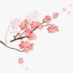 樱花素材图片免费下载高清漂浮素材png千库网图片编号1235811