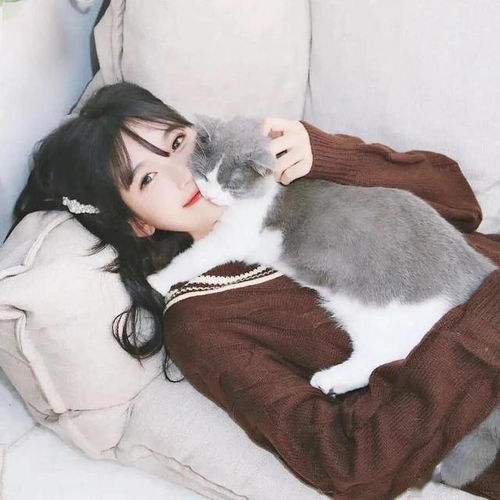 头像,抱猫女孩最温柔