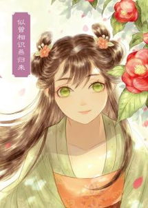 唯美小花