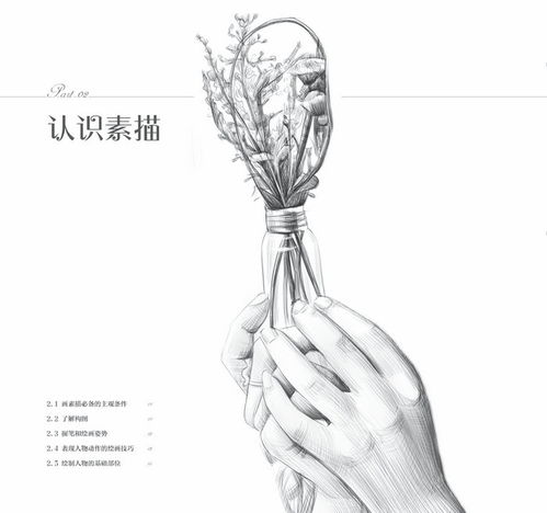 女孩绘清新美少女素描自学教程