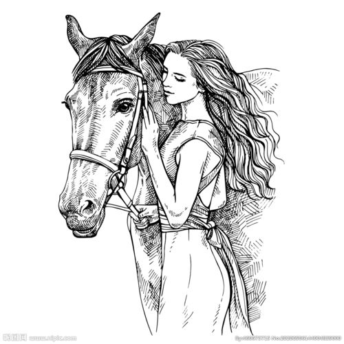 美女和马插画素描矢量素材图片