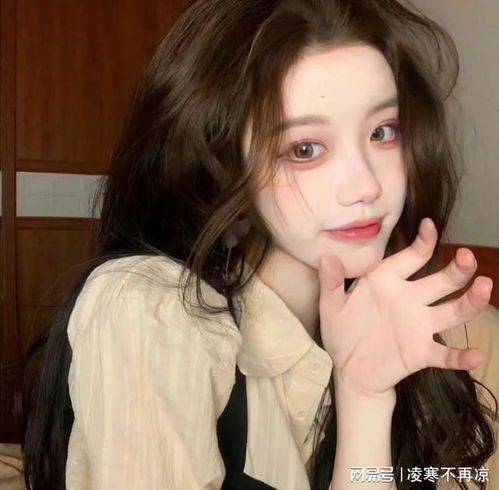 最新adobeps2024photoshop简体中文永久版下载安装激活教程