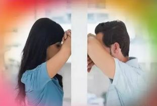 今年只要牵手,明年就能完婚的生肖
