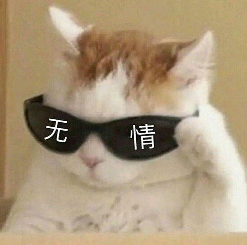 适合长期不换的头像女可爱沙雕