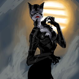 蝙蝠侠猫女
