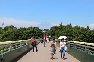 坐邮轮,去富士山海陆空日本全景之旅等您来发现