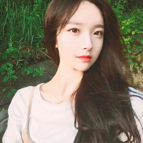 网络美图女生头像美图公司