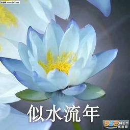 似水流年中老年表情图片心平气和佛系表情包下载乐游网游戏下载