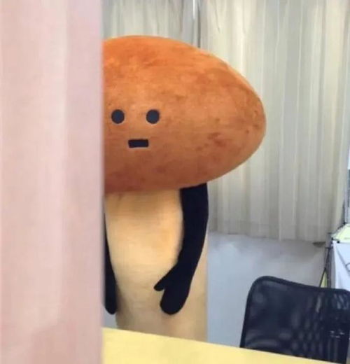 适合女生长期不换的微信头像