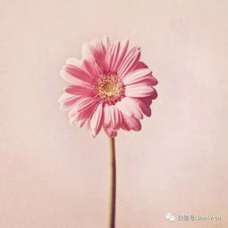 一生太短,没时间等别人许可