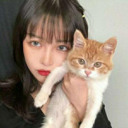 抱猫的女生头像,最新抱猫的高冷女生头像图片