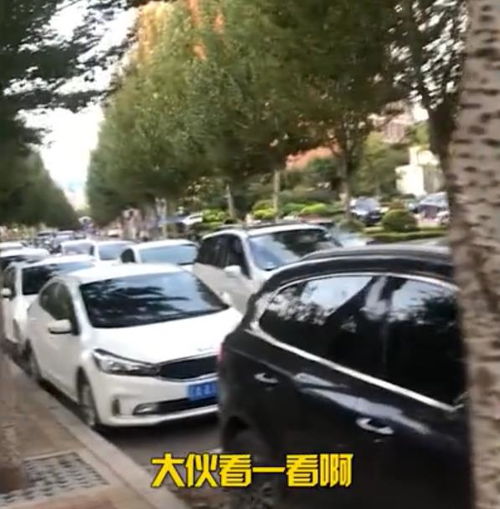 辽宁女子占车位,引起众人不满,后车拥堵成长龙依旧不肯离开