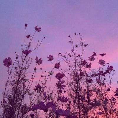 2018清新自然风景头像图片大全