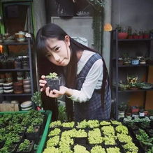 它不只是水果,更是养护女人圣品,可惜很少人会吃