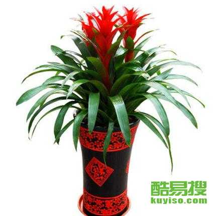 郑州酷易搜
