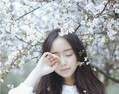 樱花少女头像背景图全力以赴