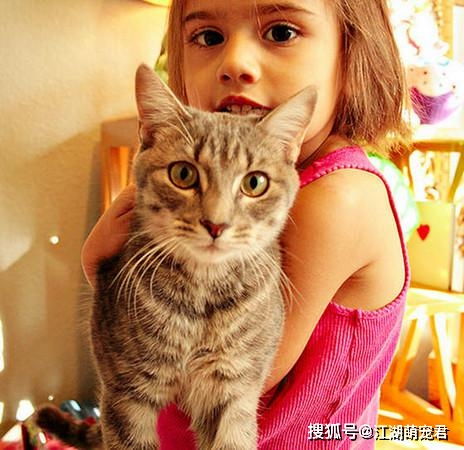 猫咪也重女轻男猫咪更喜欢女主人的原因,你知道吗
