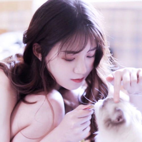 有没有女孩猫咪的头像