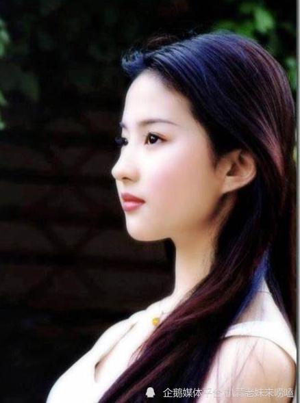 玫瑰的故事,刘亦菲真实人生记录成名录上的转折点