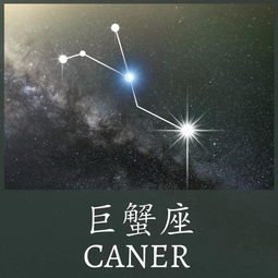 巨蟹双子事业顺处女双子开销大