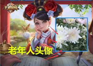王者荣耀小姐姐动漫头像被封一年,怒怼天美你已经老年化了