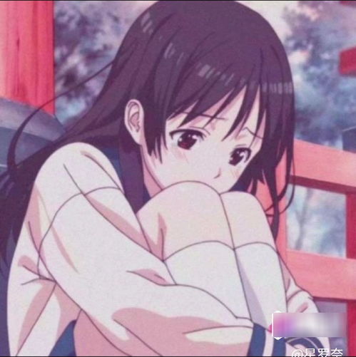 生活明朗,万物可爱