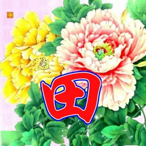 老年头像微信花开富贵