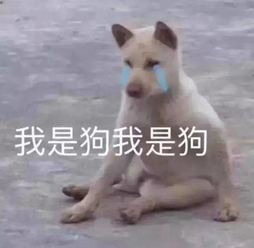 好牌打稀烂女星15岁出道,28岁嫁百亿富豪,50岁却孑然一身