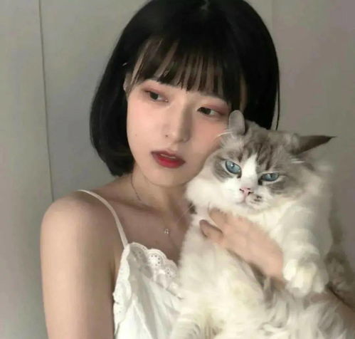 头像图片丨女生头像丨可爱的猫系女头1214