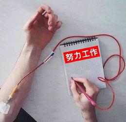 你们未来男朋友此时正在高考