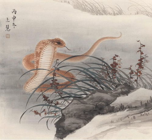下周开始将顺利告别霉运,处处遇喜日日得财,难逃富贵命的属相