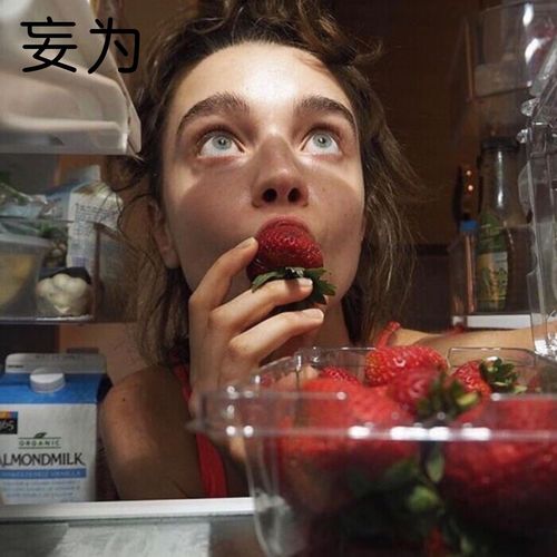 我不会再去相信你了remix麝月白泽少女提莫高音质在线试听我不会再去相信你了remix歌词歌曲下载酷狗音乐