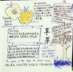 她为水果手绘身份证小清新风格火爆朋友圈