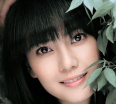 高圆圆走红成长史17岁出道清纯女孩变熟女组图