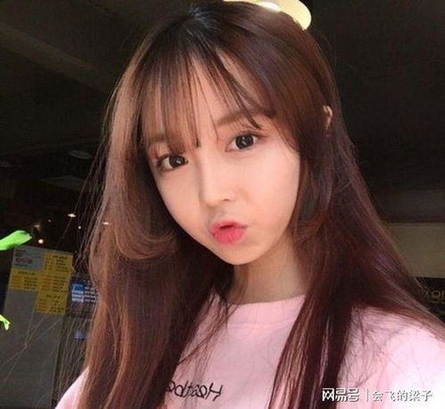 年少不懂王安石,读懂只余长叹息