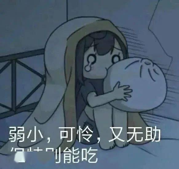 沙雕搞笑表情包不要试图和我讲道理,我就是道理