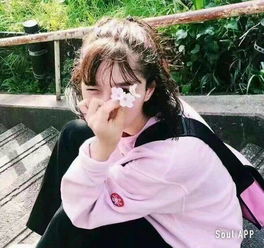 求高清图片