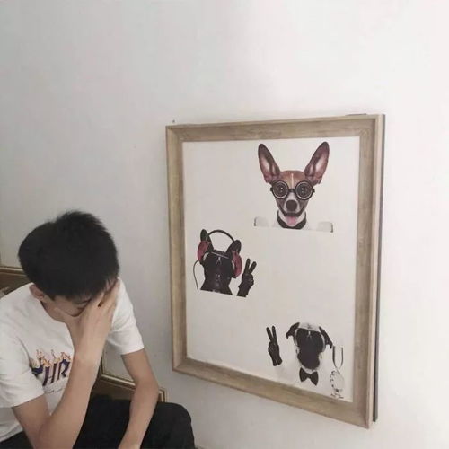 头像关山难越,萍水相逢