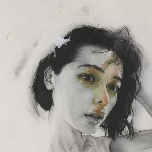 有颜色的素描,画的真美