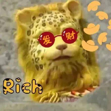豹富了豹富了豹富了第304期喵表情包
