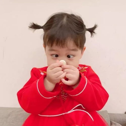 无标题