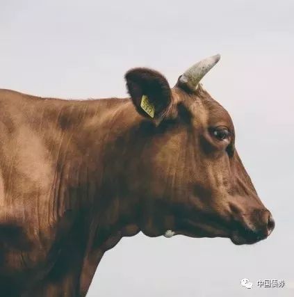 佛系金融民工的十二个特征
