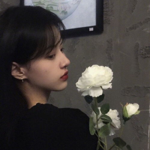 美到窒息的情诗
