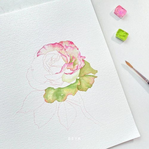 唯美清新的花卉水彩手绘女生的最爱