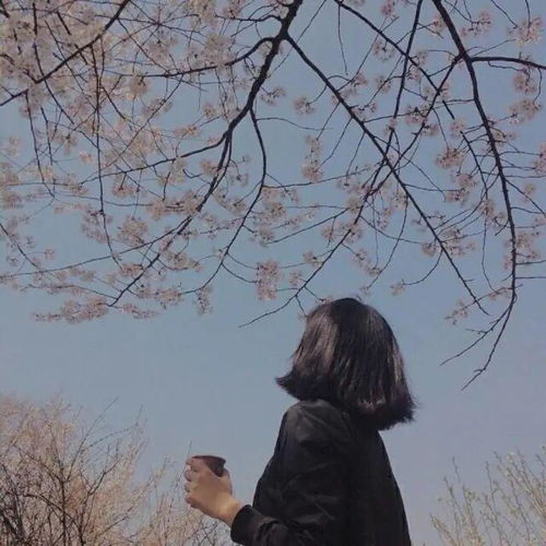 我可以看一下你便签里的句子或者概览吗